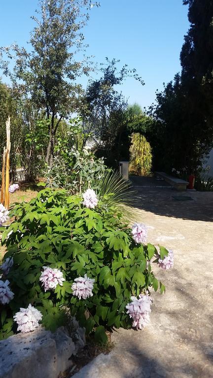 פולינאנו א מארה Villa Massa Piscina מראה חיצוני תמונה
